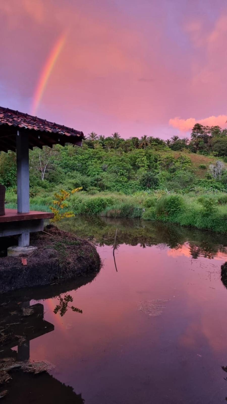 Laluna Eco Resort Pvt Ltd Beruwala Luaran gambar